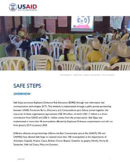 Safe Steps Fact Sheet