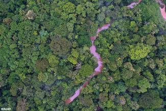 A birds eye view of a brown creek running through a dense forest