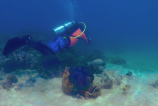 One person in scuba diving equipment takes photos over a coral reef in the sea. 