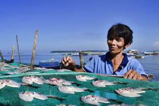 A woman dries her fish catch over a green net.