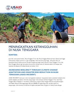 USAID INCIDENT Fact Sheet 2024 Indonesian