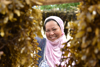 A woman smiles through a frame of seagrasses drying in the open air. 