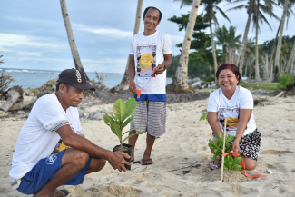 Three people plant local tree and shrub species on a beach