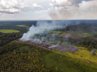 A fire in the Amazon rainforest