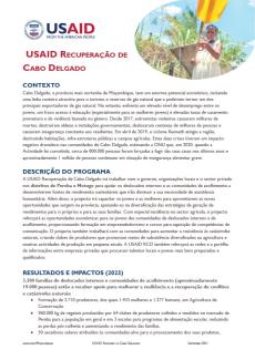 USAID Recovery Cabo Delgado Factsheet thumbnail Pt