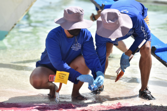 Two people in hats investigate a red oil spill on a sandy beach