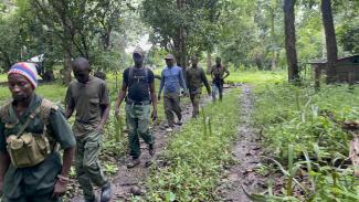 A line of eco-guards walks through a forest on patrol