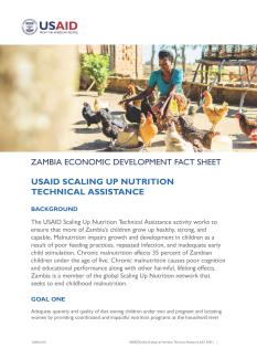 A Zambian woman feeds a flock of chickens in this thumbnail for the Scaling Up Nutrition Technical Assistance Fact Sheet