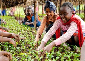 Women farming