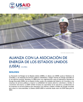 Asociación de Energía de los Estados Unidos (USEA) Fact Sheet