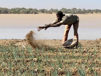 Niger Farmer Working