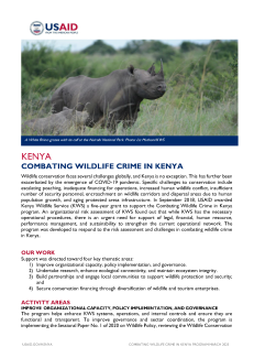 Combating Wildlife Crime in Kenya cover