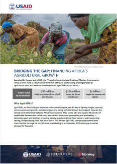 Bridging the Gap: Financing Africa’s Agricultural Growth