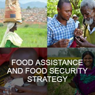 FFP Food Assistance and Security Strategy