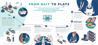 From Bait to Plate