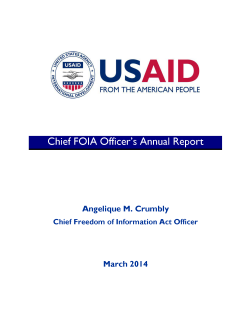 Chief FOIA Officer's Report - FY 2013