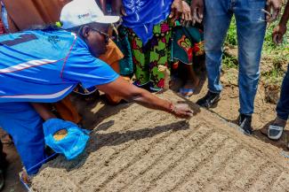 Training for extension agents on setting up a nursery in Kadiolo, Sikasso region