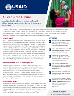 Fact Sheet: A Lead-Free Future