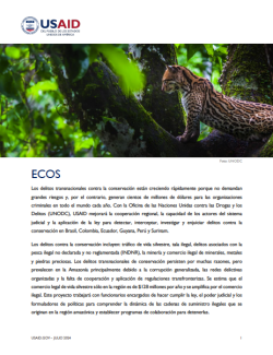 Portada de la hoja informativa del proyecto ECOS