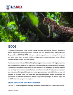 Cover of the ECOS activity factsheet