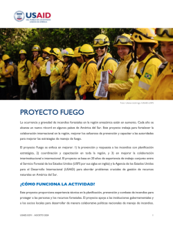 Portada de la hoja informativa del proyecto Fuego