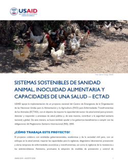 Portada del proyecto ECTAD en Perú