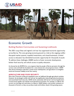 USAID Burma Economic Growth Factsheet July2024