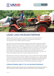 USAID Laos Microenterprise