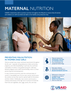 Maternal Nutrition Factsheet