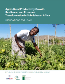 Agricultural Productivity Growth, Resilience, and Economic Transformation in Sub-Saharan Africa: Implications for USAID 