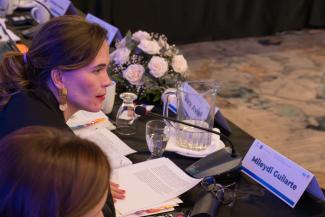 Mileydi Guilarte at High Level Economic Dialogue in Guatemala