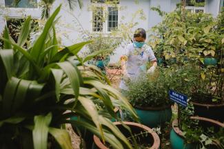 A woman tends to a medicinal garden growing in one of the courtyards of a hospital.