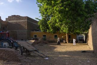 Two men walking by a large tree next to a building in a rural village.