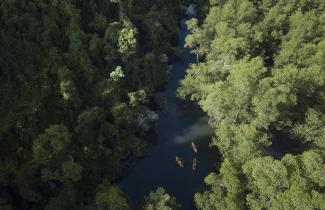 Overhead shot of kayaks on a river