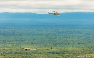 Two helicopters fly closely together in Zambia's North Luangwa National Park, one carrying a young black rhino by its legs. While the rhino was in transit, the vets flew ahead and support staff stayed close to the chopper to coordinate operations.