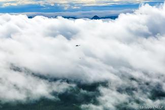 Chilunda, a young black rhino, and his rescuers fly through the clouds on their way back to Zambia’s North Luangwa National Park — a 136-mile journey - carried by a helicopter.