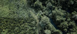 A zenithal view of the Amazon rainforest