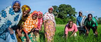 Women and Men in a field