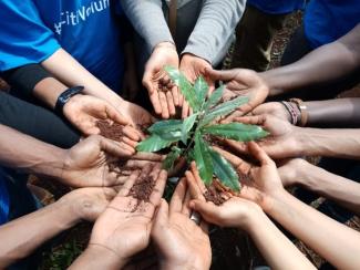 A group of outstretched hands holding a green plant