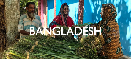 A group of people in Bangladesh sort their harvest