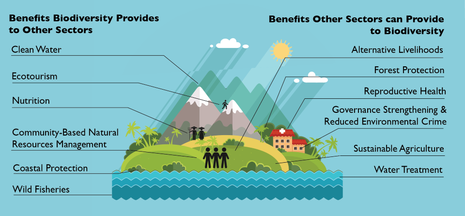 Biodiversity integration graphic