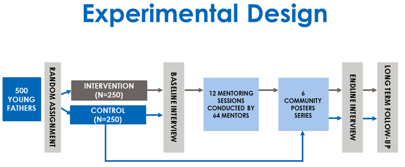 Flow chart. 500 young fathers randomly assigned to either Intervention (n=250) or Control (n=250). All had a baseline interview. The intervention had 12 mentoring sessions conducted by 64 mentors. The control saw 6 community poster series. All had an endline interview and long-term follow up.